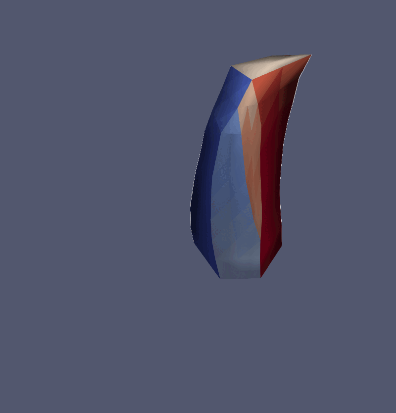 Active morphodynamics of mouse neuroepithelial cell